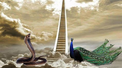 yılan ve tavus kuşu neden cennetten kovuldu